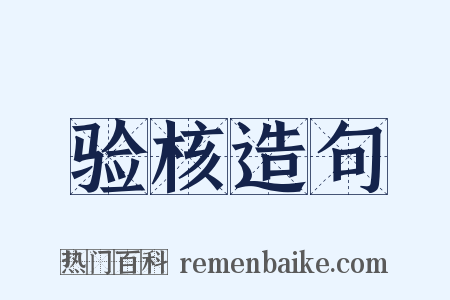 验核造句是什么意思的图片